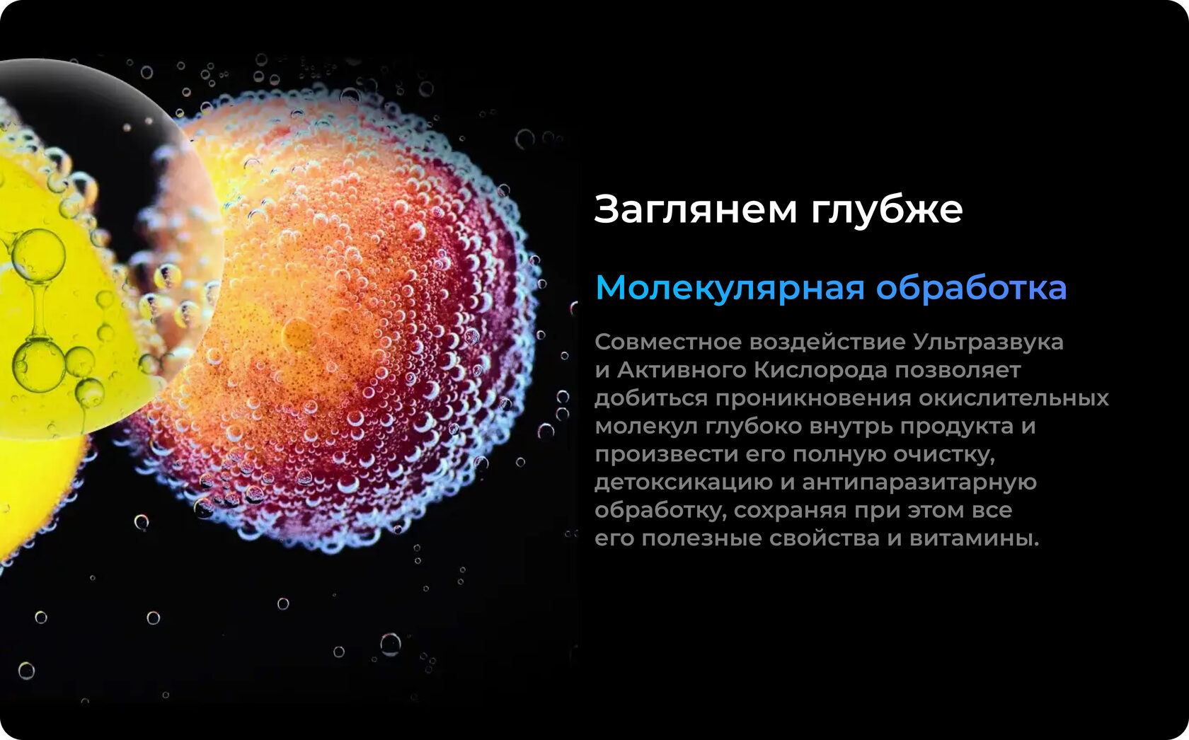 Очиститель продуктов питания Milerd Detoxer — особенности и характеристики 4